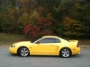 Current Avatar Photo
